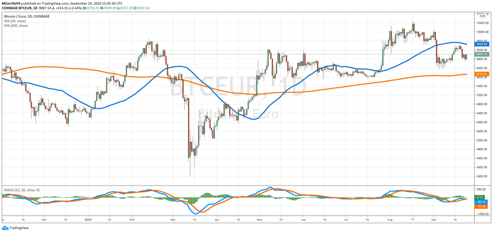 BTCEUR Daily Chart